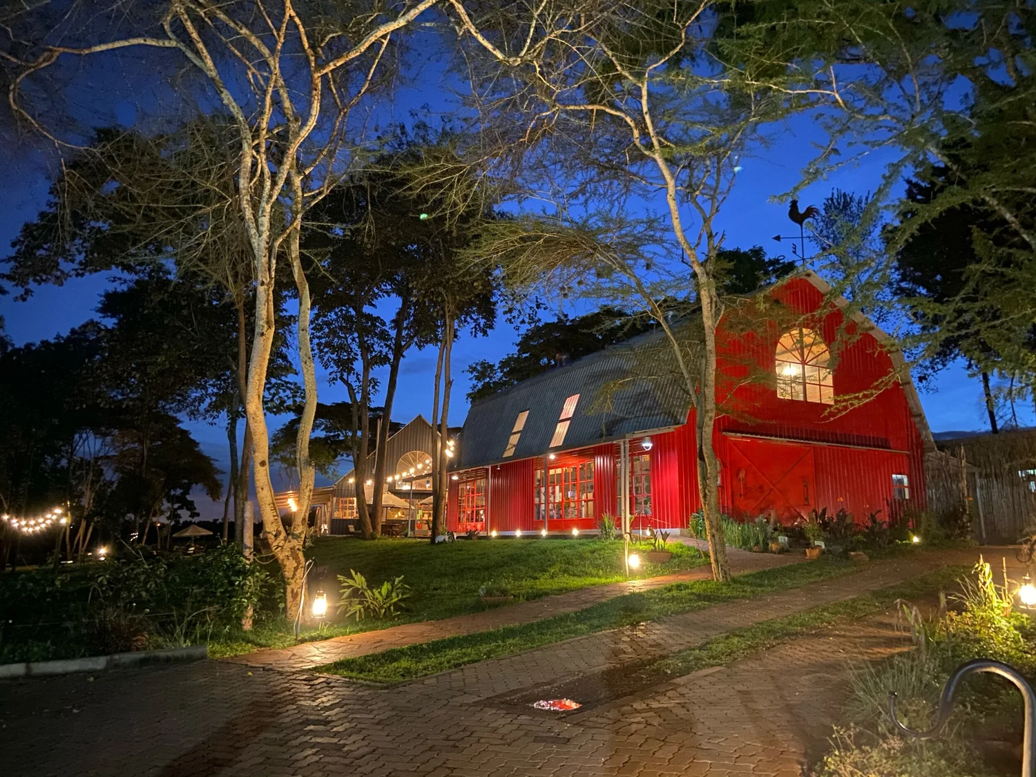 Shamba Cafe venue
